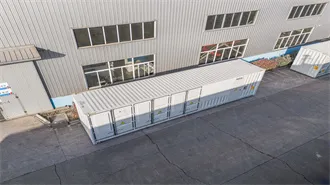 The Rise of Battery Energy Storage Systems at