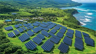 About Congo Energy | Forrest Group International
